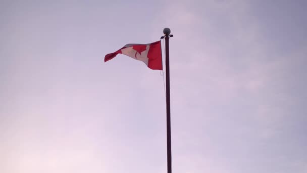 Canadian Flag Waving Pole White Sky — Video