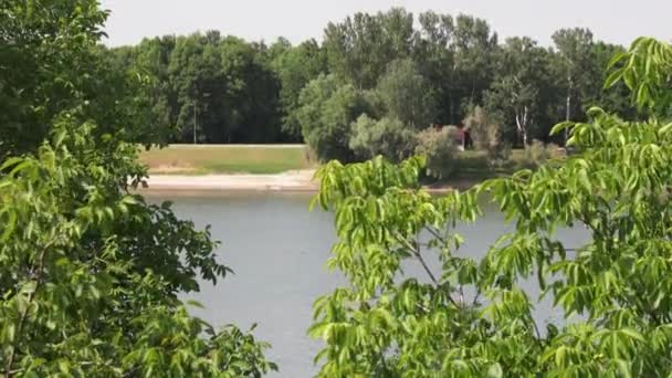 Μια Γραφική Θέα Μιας Γαλήνιας Λίμνης Ενάντια Στα Πράσινα Δέντρα — Αρχείο Βίντεο