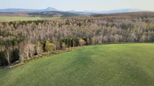 Egy Gyönyörű Drón Kilátás Táj Egy Mező Körül Őszi Fák — Stock videók