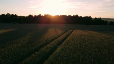 it is shown a beautiful sunset in germany
