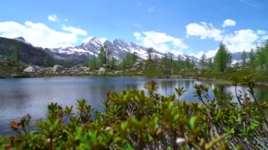 Dağlarla çevrili gölün etrafında büyüyen yeşil bitkiler.