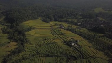 A scenic aerial view of a small village around fields and a forest with green foliage
