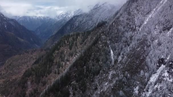Bellissimo Filmato Del Drone Della Catena Montuosa Innevata Coperta Conifere — Video Stock