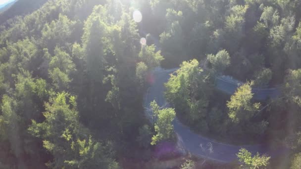 Aerial Footage Asphalt Road Woods Surrounded Lush Nature Sunny Weather — Stockvideo