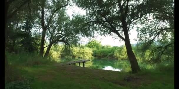 Красивый Вид Деревянный Пирс Изумрудного Озера Лесу Среди Зеленых Деревьев — стоковое видео