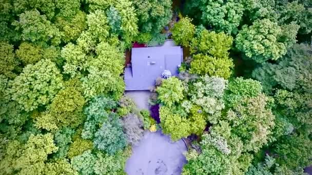 环绕着树木的房子的鸟瞰图 — 图库视频影像