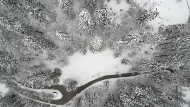 斯洛文尼亚被白雪覆盖的树木环绕的道路的空中景观 — 图库视频影像