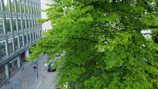 День Народження Гельсінкі Місті Обід Людьми Їдять Парку Вулиці — стокове відео