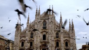 A flock of birds flying near Milan Cathedral