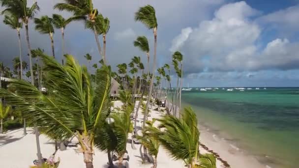 Kでドミニカ共和国の海岸に砂浜がある海の空の景色 — ストック動画