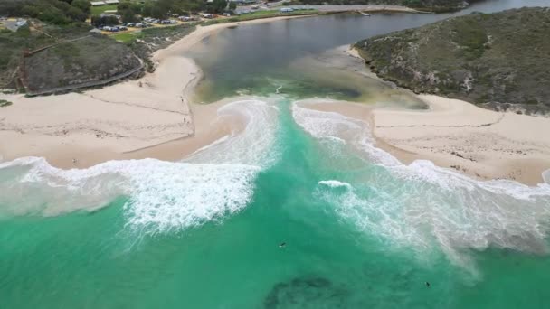 Aerial View Waves Beach Roads Green Trees Houses Green Grass — Video Stock