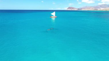 An aerial footage of a boat sailing the blue bright ocean on Oahu island in Hawaii