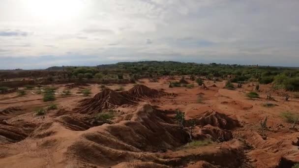 Panoramic View Sandy Landscape Mounds Green Bushes — Stockvideo