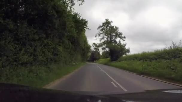 View Road Surrounded Beautiful Green Trees — Video