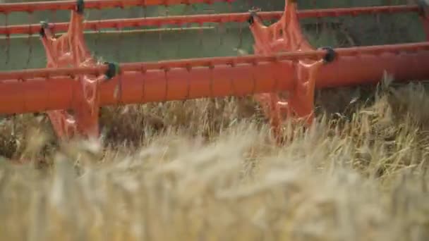 Selective Focus View Tractor Field — Wideo stockowe