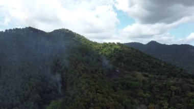 Smoke rises out of the forest as a fire burns underneet. Trinidad
