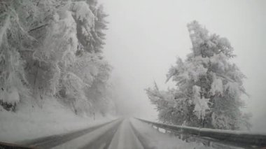 A scenic view of an asphalt road near a forest covered with snow in winter