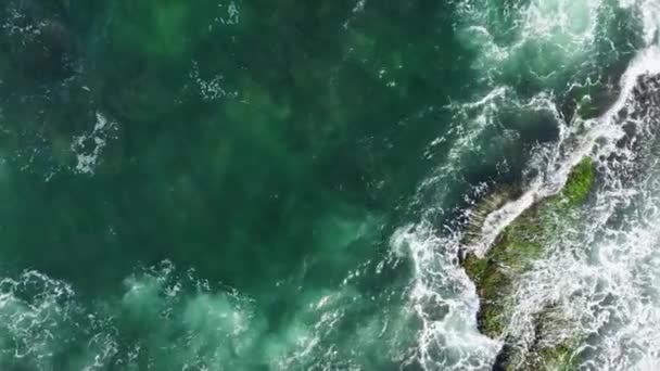 Βίντεο Των Πράσινων Κυμάτων Του Ωκεανού Και Των Ανθρώπων Στη — Αρχείο Βίντεο