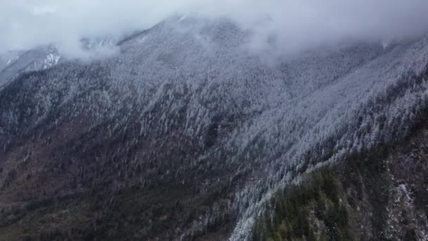 Las Hermosas Imágenes Drones Cordillera Nevada Cubierta Árboles Coníferas — Vídeos de Stock