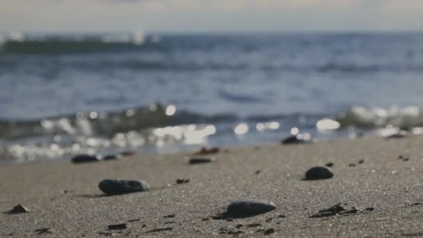 夏の暖かい日当たりの良いビーチの海岸に転がり波 静的低角度ショット — ストック動画