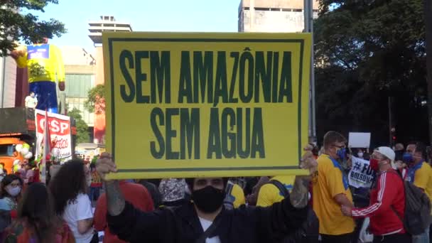 People Protest Posters Favor Environmental Conservation Water Amazon Rainforest Environmental — Video