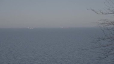 Ön planda ağaç dalları olan temiz bir arka planda gölün dalgalanan sularının hava görüntüsü.