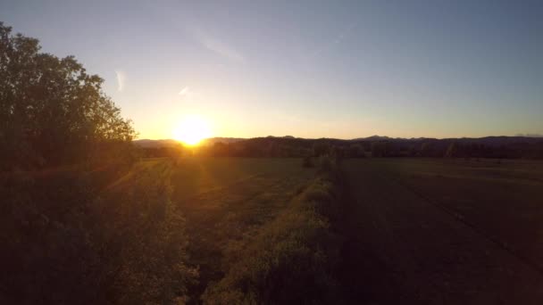 Прекрасний Вид Схід Сонця Над Зеленим Сільськогосподарським Полем — стокове відео