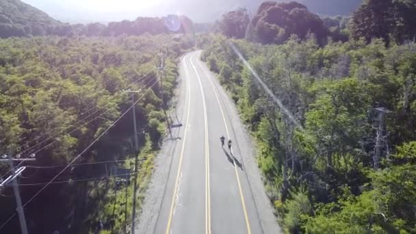 Aerial View Two People Running Asphalt Road Lush Green Forests — Wideo stockowe
