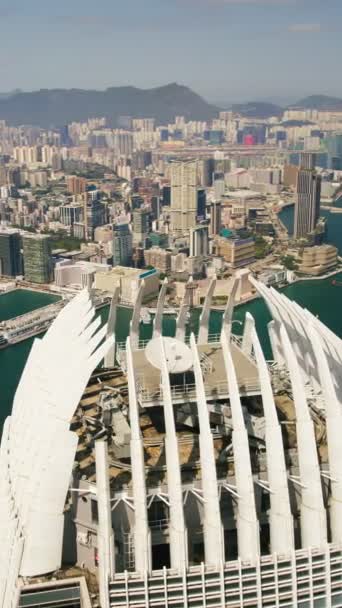 Verticle Drone Shot Hong Kong Skyline Surrounding Iconic Building Ifc — Video Stock
