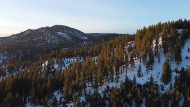 Aerial View Snowy Forested Mountains Nevada — Video Stock