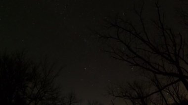A low angle time-lapse of a starry night with trees in the foreground in Kansas, United States