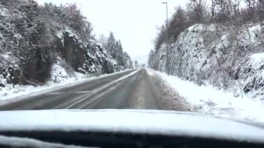 A view from the car's window of the long pathway with leafless trees in wintertime