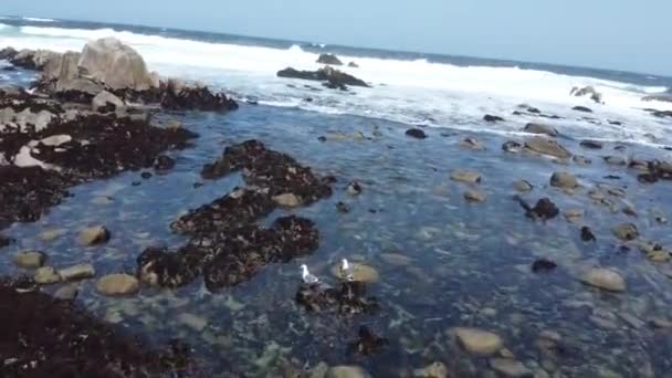 Drone Footage Ocean Waves Hitting Rocky Beach — Vídeo de stock