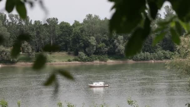 Selective Focus Shot Single Boat Floating Middle River Surrounded Trees — Stok video