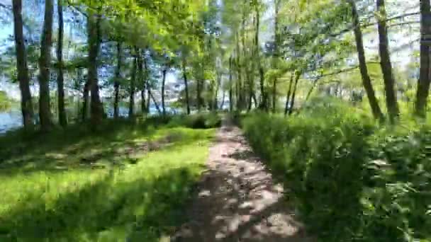 Time Lapse Footage Bicycle Trail Green Forest — Stock video