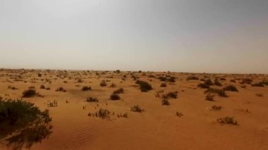 A drone footage of a desert with dry vegetation in blue sky background