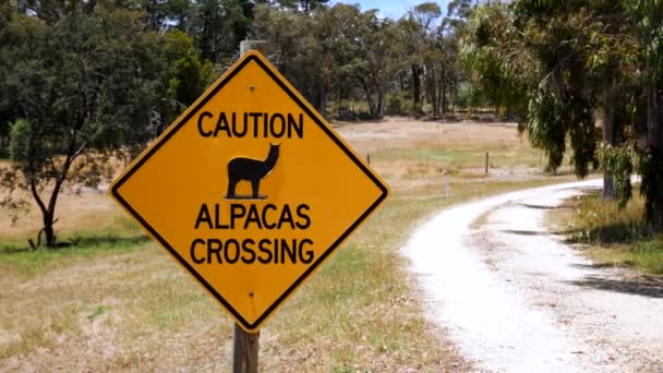 Orange Rhombus Alpacas Crossing Sign Forest — Stockvideo