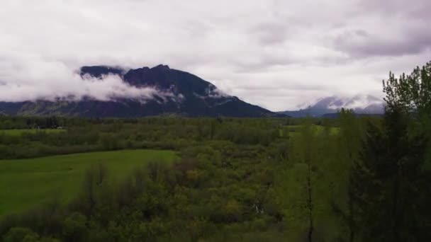 Aerial View Thick Vegetation North Bend Snoqualmie Washington Usa — Stockvideo