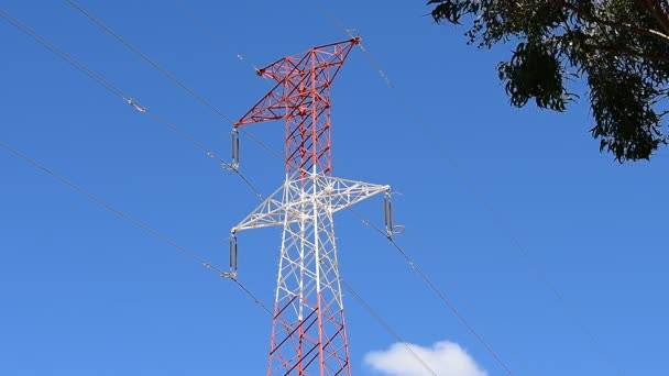 Low Angle Shot Electric Pole Cloudless Blue Sky Sunny Day — Video