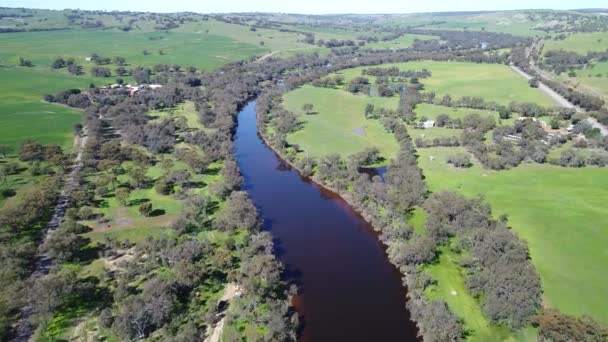 Aerial View Farming Field Lands Green Trees Lake District Sunny — Stockvideo