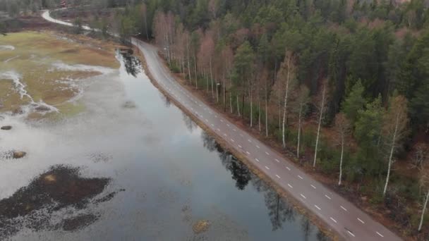 スウェーデンのFalunにある苔むした川と森を通るロードバイクのある小さな道路の空中ビュー — ストック動画
