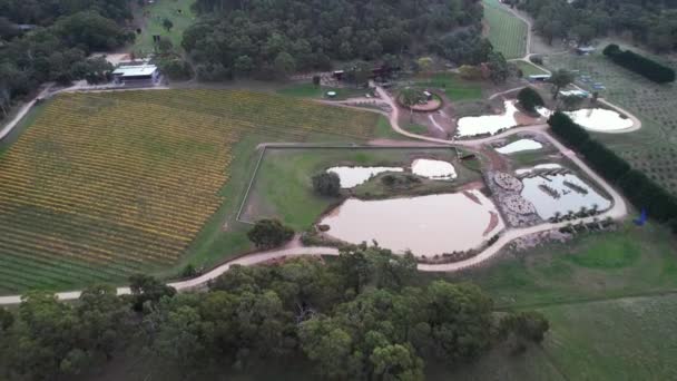 Drone Flying Winery Base Small Mountain — Vídeo de Stock