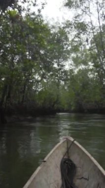 The vertical closeup footage of the wooden boat floating on the river surrounded by green vegetation.