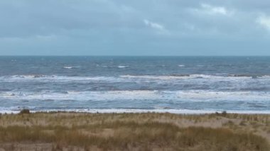 Rough waves of the North sea close to the beach with beach grass in foreground