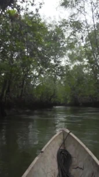 Vertical Closeup Footage Wooden Boat Floating River Surrounded Green Vegetation — Wideo stockowe
