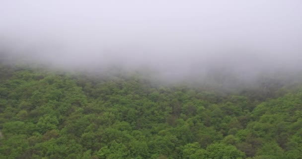 Μια Χρονική Ολίσθηση Ομίχλης Νεφών Πάνω Από Πυκνό Πράσινο Δάσος — Αρχείο Βίντεο