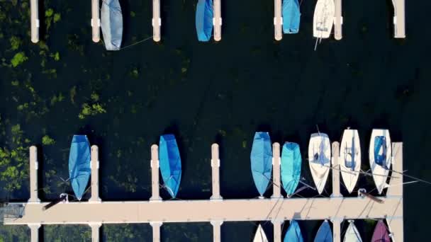 Drone Footage Boats Pear — Video Stock
