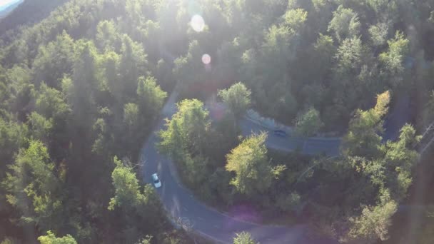 Aerial Footage Cars Driving Curved Asphalted Road Surrounded Trees Sunny — Vídeo de stock