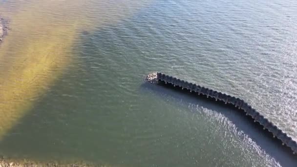 Drone Shot Pier Pensacola Wharf — Vídeo de Stock