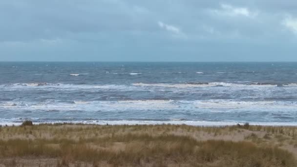 Σκληρά Κύματα Της Βόρειας Θάλασσας Κοντά Στην Παραλία Γρασίδι Στην — Αρχείο Βίντεο